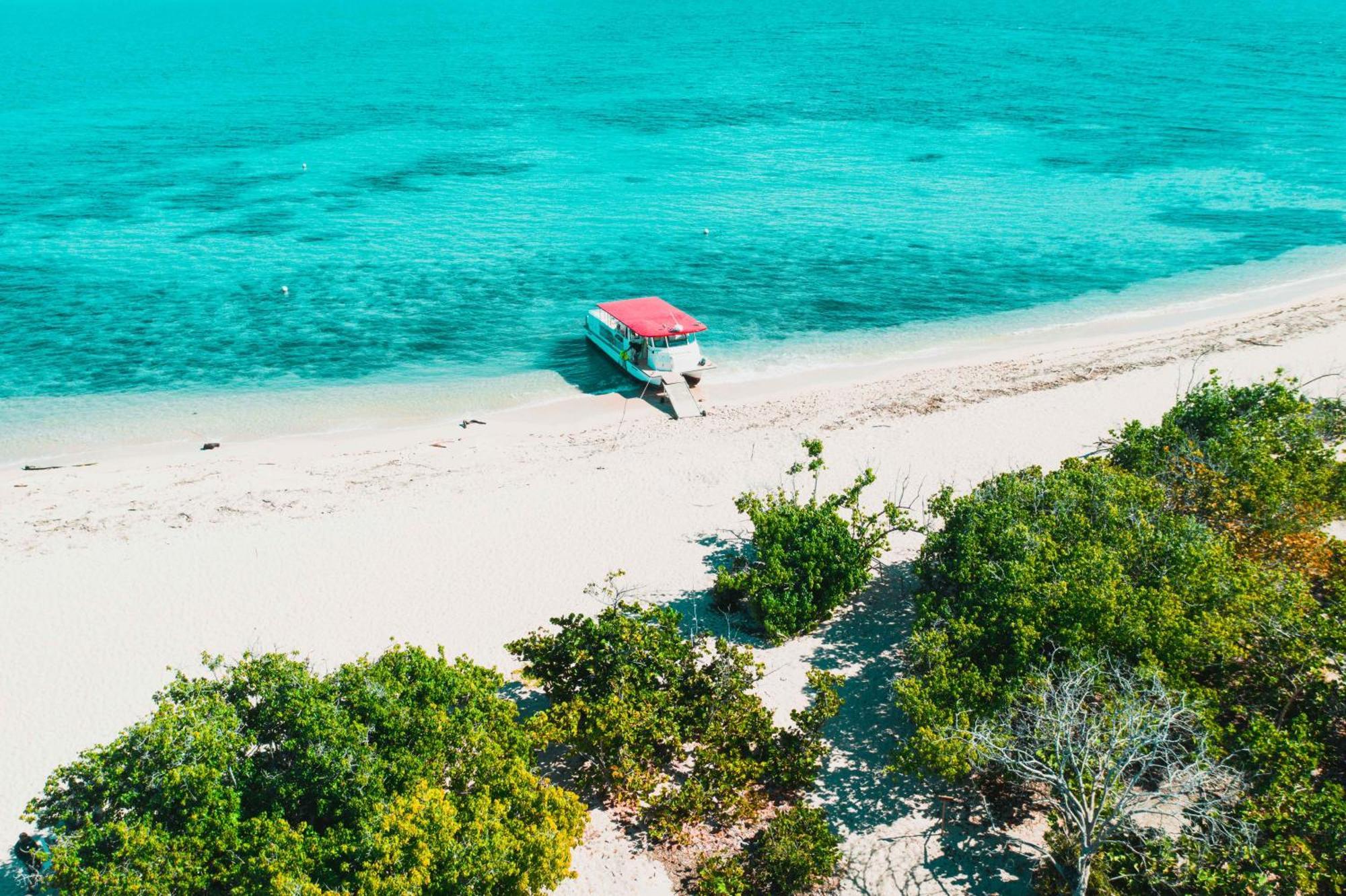 Expansive Paradise With Private Jacuzzi And Tropical Patio ポンセ エクステリア 写真